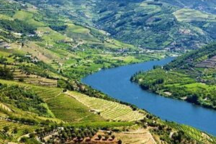 Visite Complète des vins