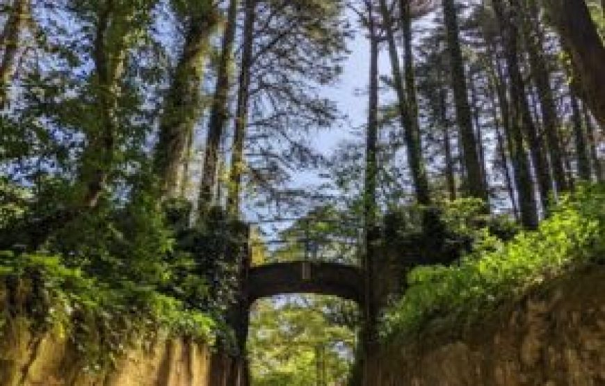 Visite guidée de Sintra, Pena, Regaleira et Cascais