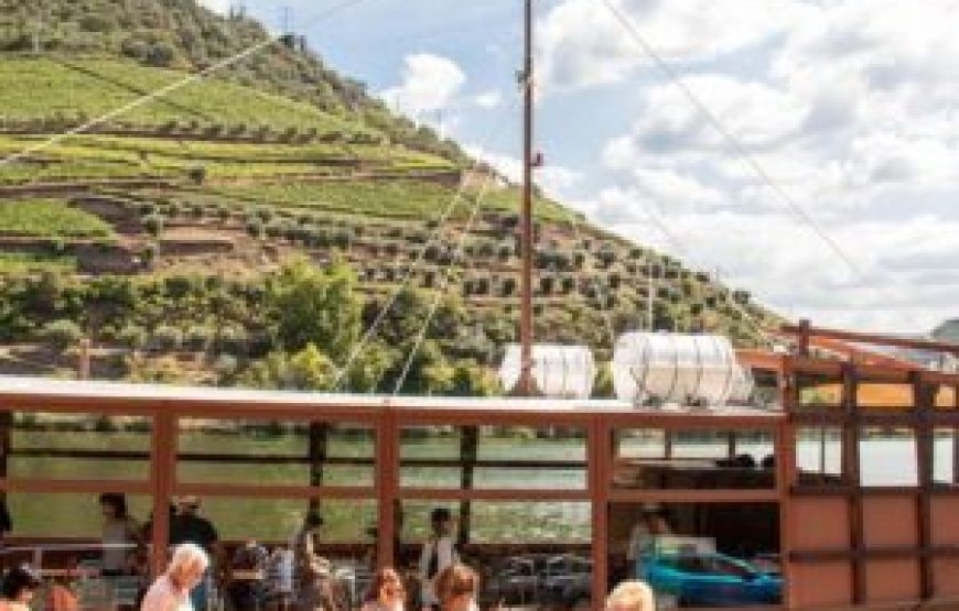 Visite Complète des vins