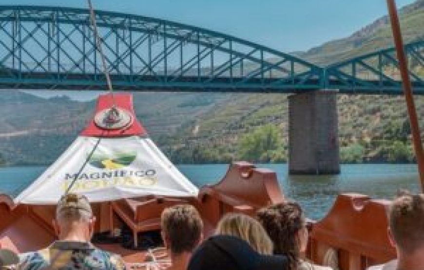 Visite Complète des vins