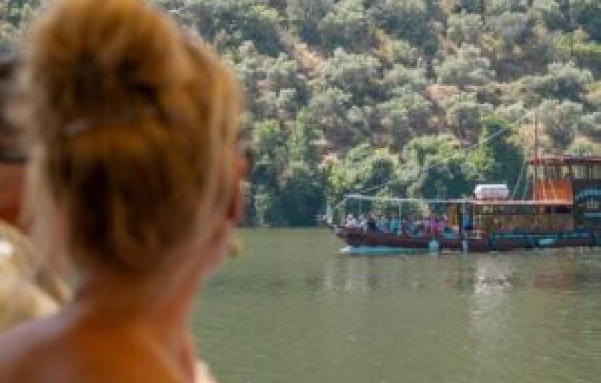 Visite Complète des vins