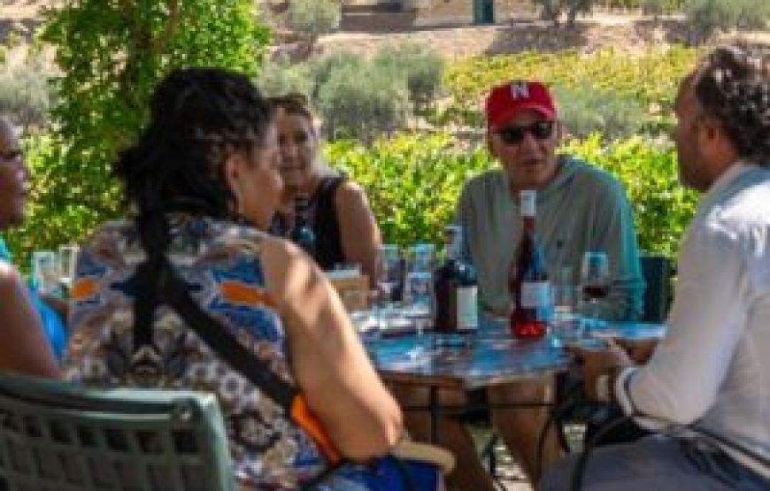 Visite Complète des vins