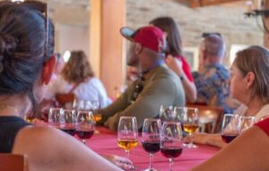 Visite Complète des vins