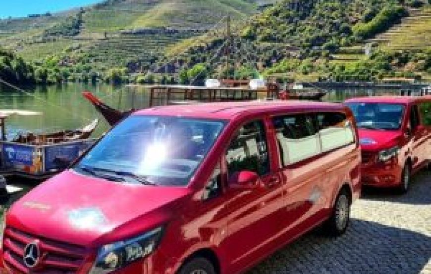 Visite Complète des vins